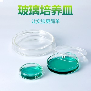 比克曼生物 湘玻 高硼硅玻璃培养皿 细菌细胞平皿60/75/90/100/120/150mm加厚耐高温