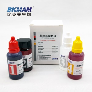 比克曼生物（BKMAM）革兰氏染色液试剂盒 结晶/龙胆紫液/碘液/脱色液/沙黄复染液 显微镜实验室专用仅供科研