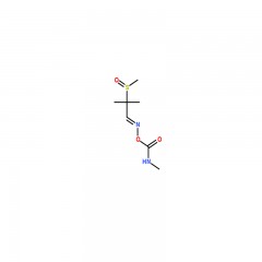 阿拉丁  涕灭威亚砜   Aldicarb-sulfoxide    100mg   1646-87-3