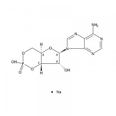 阿拉丁   腺苷-3',5'-环状单磷酸钠水合物    Adenosine 3',5'-Cyclic Monophosphate Sodium Salt Hydrate    100mg  37839-81-9