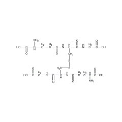 索莱宝 氧化型谷胱甘肽   BC(生化试剂)  1g   121-24-4
