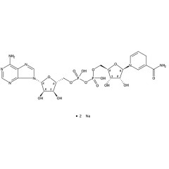 阿拉丁 还原型辅酶二钠盐（β-NADH）   250mg   606-68-8