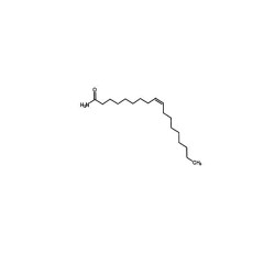 阿拉丁 油酸酰胺   100g   301-02-0