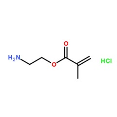 安耐吉 甲基丙烯酸 2-氨基乙基酯盐酸盐    BC(生化试剂)  5g    2420-94-2