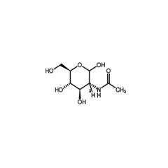 阿拉丁 N-乙酰-D-半乳糖胺，水合  N-Acetyl-D-galactosamine  500mg   14215-68-0