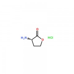 阿拉丁 (S)-α-氨基-γ-丁内酯 盐酸盐  (S)-α-Amino-γ-butyrolactone hydrochloride    1g   2185-03-7