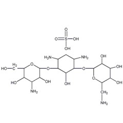索莱宝  硫酸卡那霉素   BR(生物试剂) 1g   133-92-6