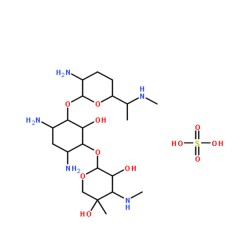 索莱宝  硫酸庆大霉素    BC(生化试剂) 1g   1405-41-0