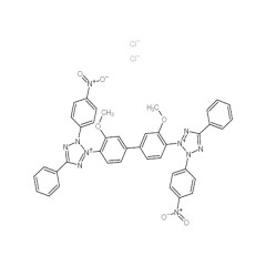 索莱宝   氯化硝基四氮唑兰NBT   100mg   298-83-9