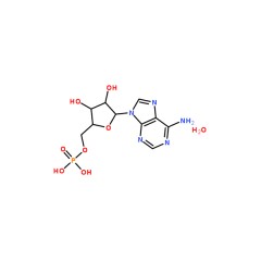 阿拉丁  腺苷-5'-磷酸  Adenosine 5'-monophosphate monohydrate    5g    18422-05-4