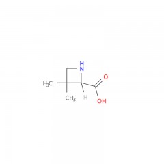 阿拉丁  2-​Azetidinecarboxylic acid, 3,​3-​dimethyl-​,  (2S)​-   1860033-50-6