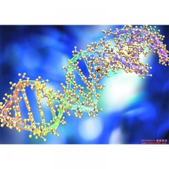 分析检测  石蜡标本DNA提取  分子生物学实验服务