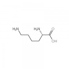 国药L-赖氨酸 BR(生物试剂)  25g 56-87-1