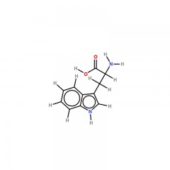 索莱宝L-色氨酸   BR(生物试剂)5g  73-22-3