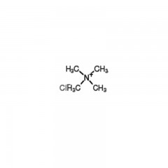 安耐吉 四甲基氯化铵 BC(生化试剂)  100g 75-57-0
