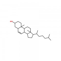 索莱宝  胆固醇 BC(生化试剂)  100g 57-88-5