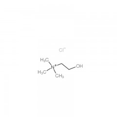 索莱宝  氯化胆碱(维生素B4)  100g    67-48-1