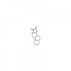 阿拉丁 雄烯二酮  4-Androstene-3,17-dione  10mg   63-05-8