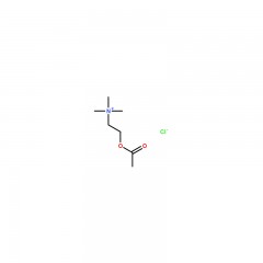 阿拉丁 氯化乙酰胆碱  Acetylcholine chloride  25g   60-31-1