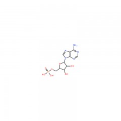阿拉丁 5'-腺苷酸  5'-Adenylic Acid HPLC(高压液相色谱)  5g  61-19-8