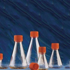 康宁  Corning   三角培养瓶，250ml，31mm颈瓶直径，透气盖，PC（聚碳酸酯）材质，灭菌单独包装，1个/包，50包/箱