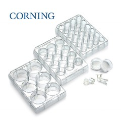 康宁  Corning   Transwell-膜嵌套，24mm膜直径，0.4um，PC（聚碳酸酯）膜，灭菌，6个/包，4包/箱  货号 3412