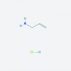 阿拉丁   聚烯丙基胺盐酸盐 P194734-5g  cas号：71550-12-4
