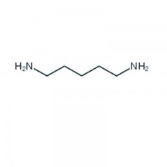 罗恩   1,5-二氨基戊烷,98%  R001324-25g  	CAS号：	462-94-2