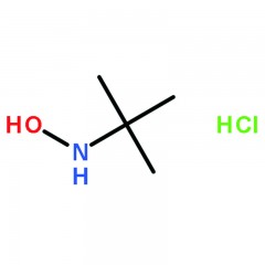 罗恩   N-叔丁基羟胺盐酸盐,98%  R001383-1g  CAS号：	57497-39-9