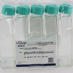 芯硅谷 C7069 细胞培养瓶 塑料培养瓶 组织培养瓶