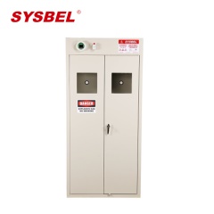 西斯贝尔WA710102安全柜  190*90*45 自带进风 SYSBEL钢制智能气瓶柜 两瓶型 CE认证 灰色 1台